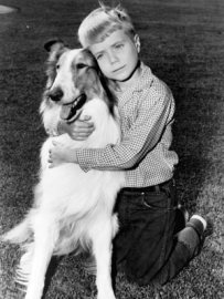 Timmy hugs his collie Lassie.