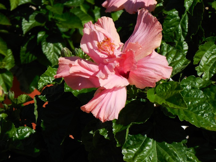 Sunday Seven:  Around the&nbsp;Neighborhood