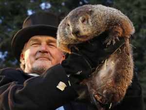Punxsutawney Phil makes his annual appearance.