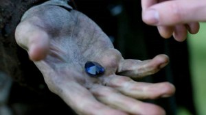 Jamire gives the sapphire to Lord John.