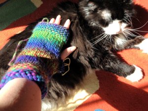 Romeo doesn't care for his namesake mitts.