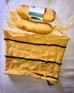 An afghan knit in the round and the CUT!